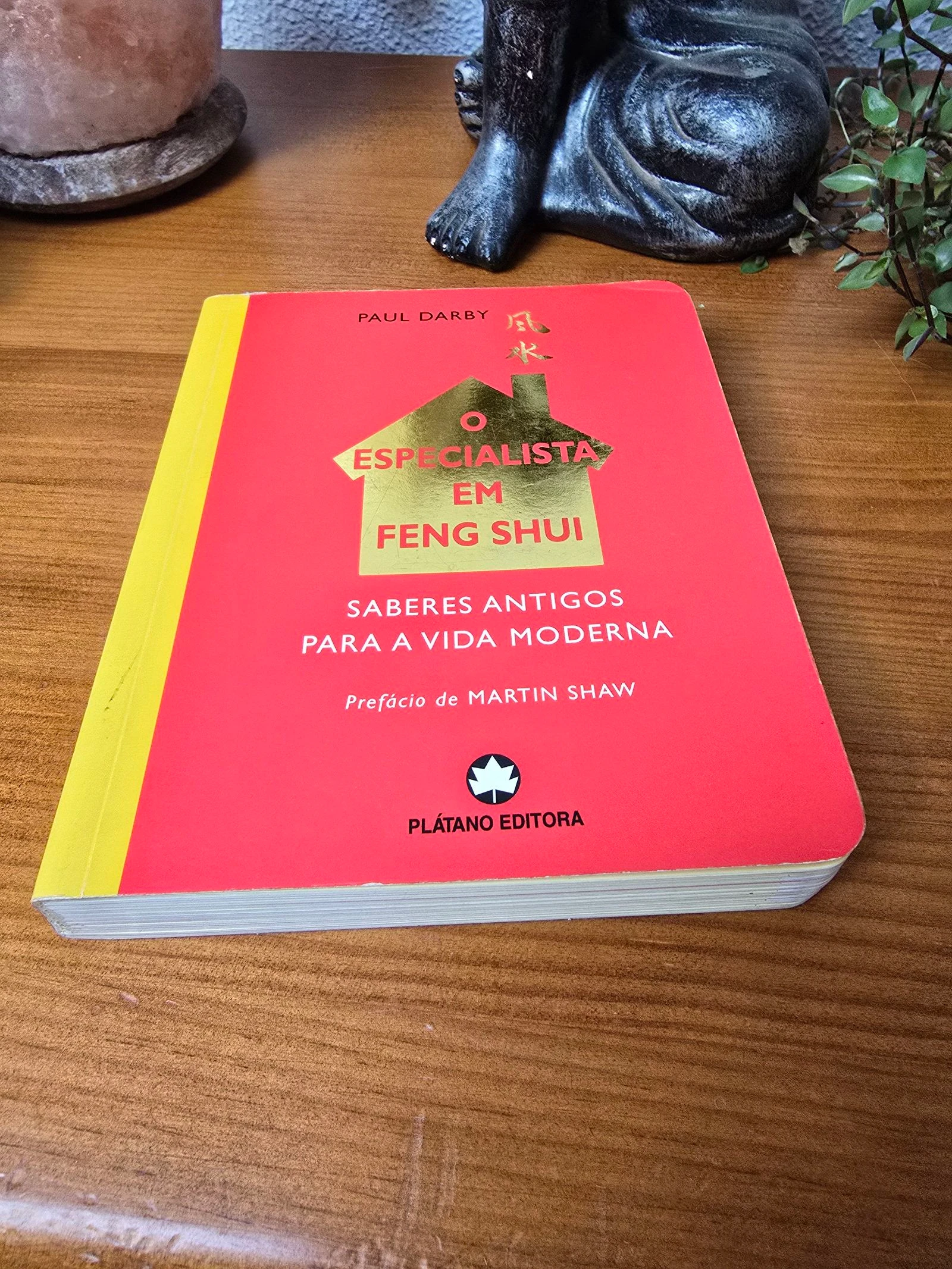 L'expert en Feng Shui – photo 3